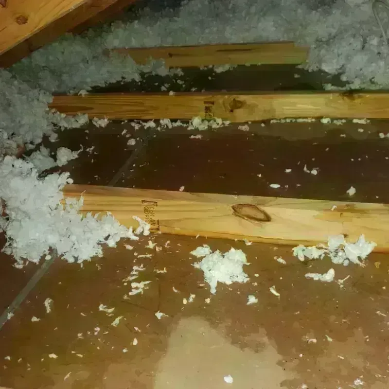 Attic Water Damage in Pittsboro, NC